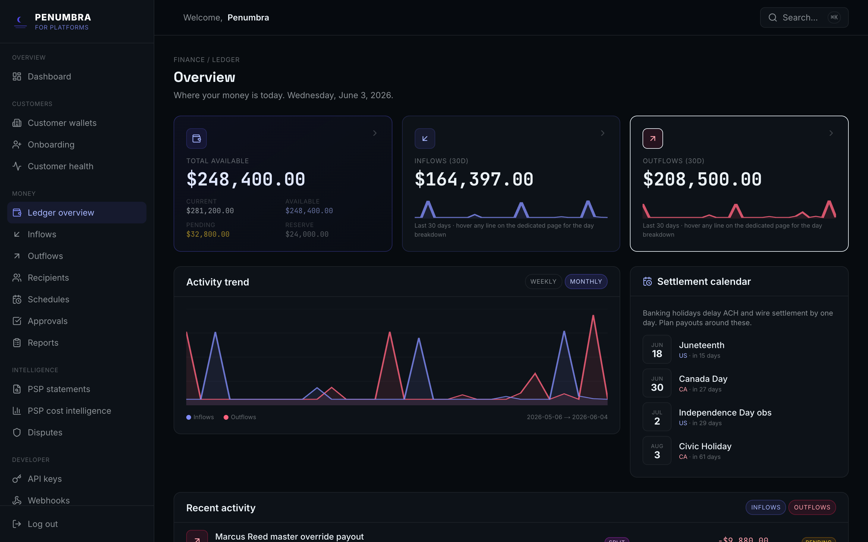 Penumbra for Platforms ledger overview